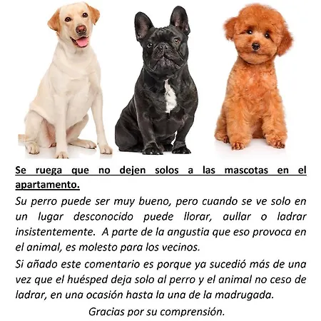 La Casita Хихон